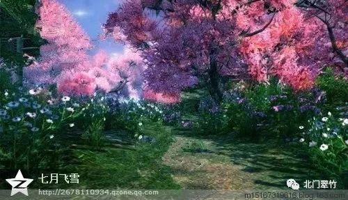 逃出林中村