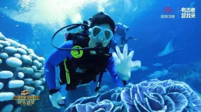 海口市美兰区政协委员崔茂毅：因地制宜发展东寨港红树林观鸟旅游产业